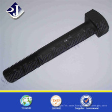 Astm standard product Square head bolt